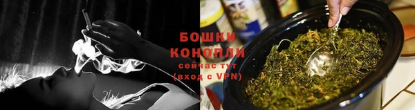 спайс Нея
