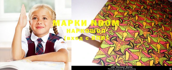 МДПВ Болотное