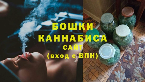 спайс Нея