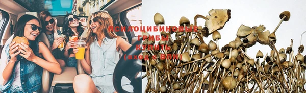 спайс Нея
