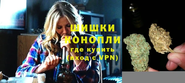 спайс Нея