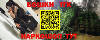 крисы Кандалакша