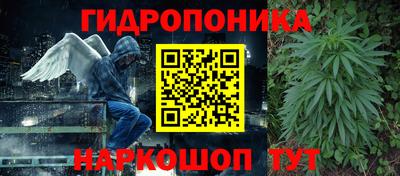 гашик Канаш